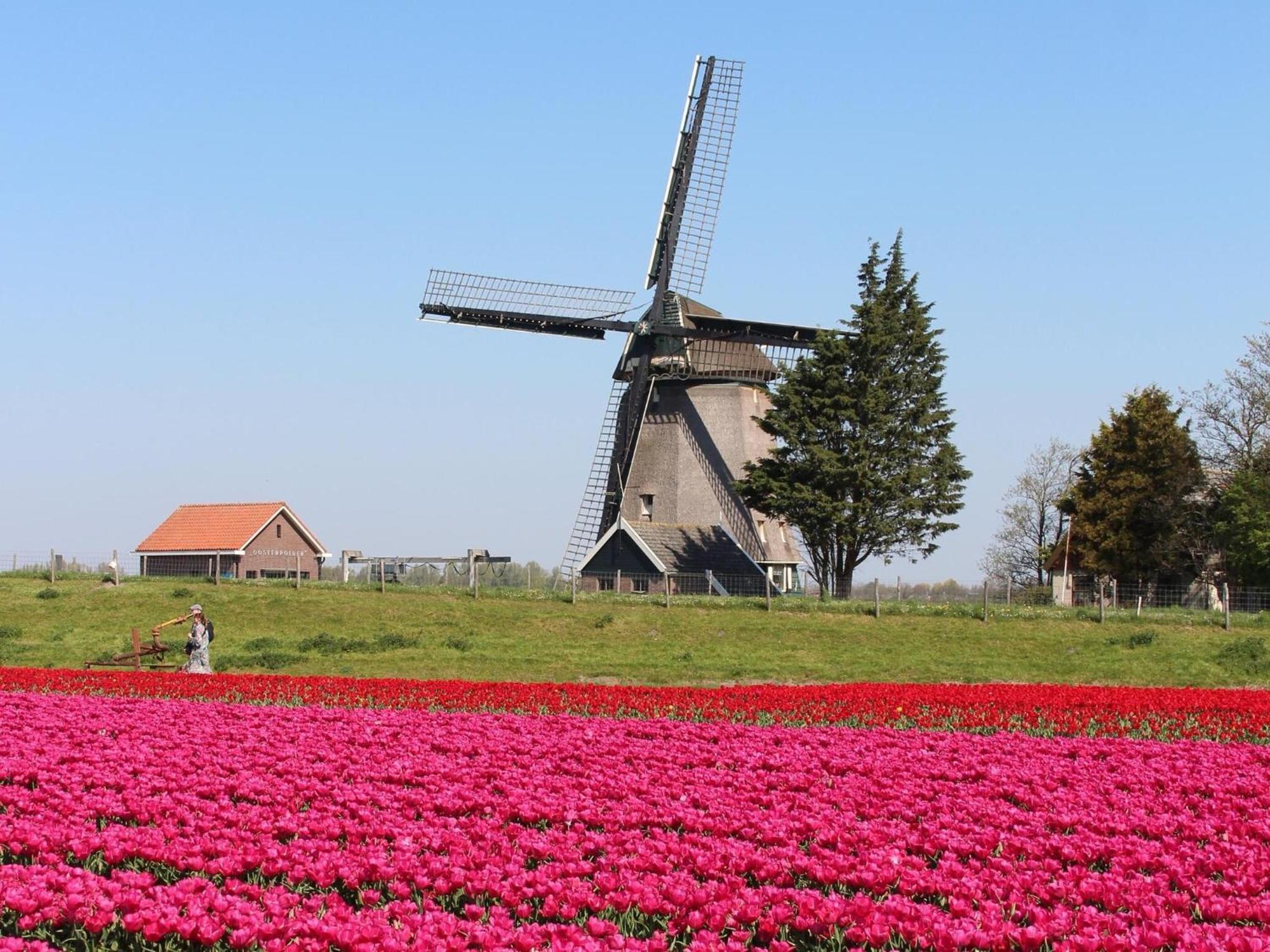 Holiday Home With Fabulous Garden Sint Maartensvlotbrug Екстер'єр фото
